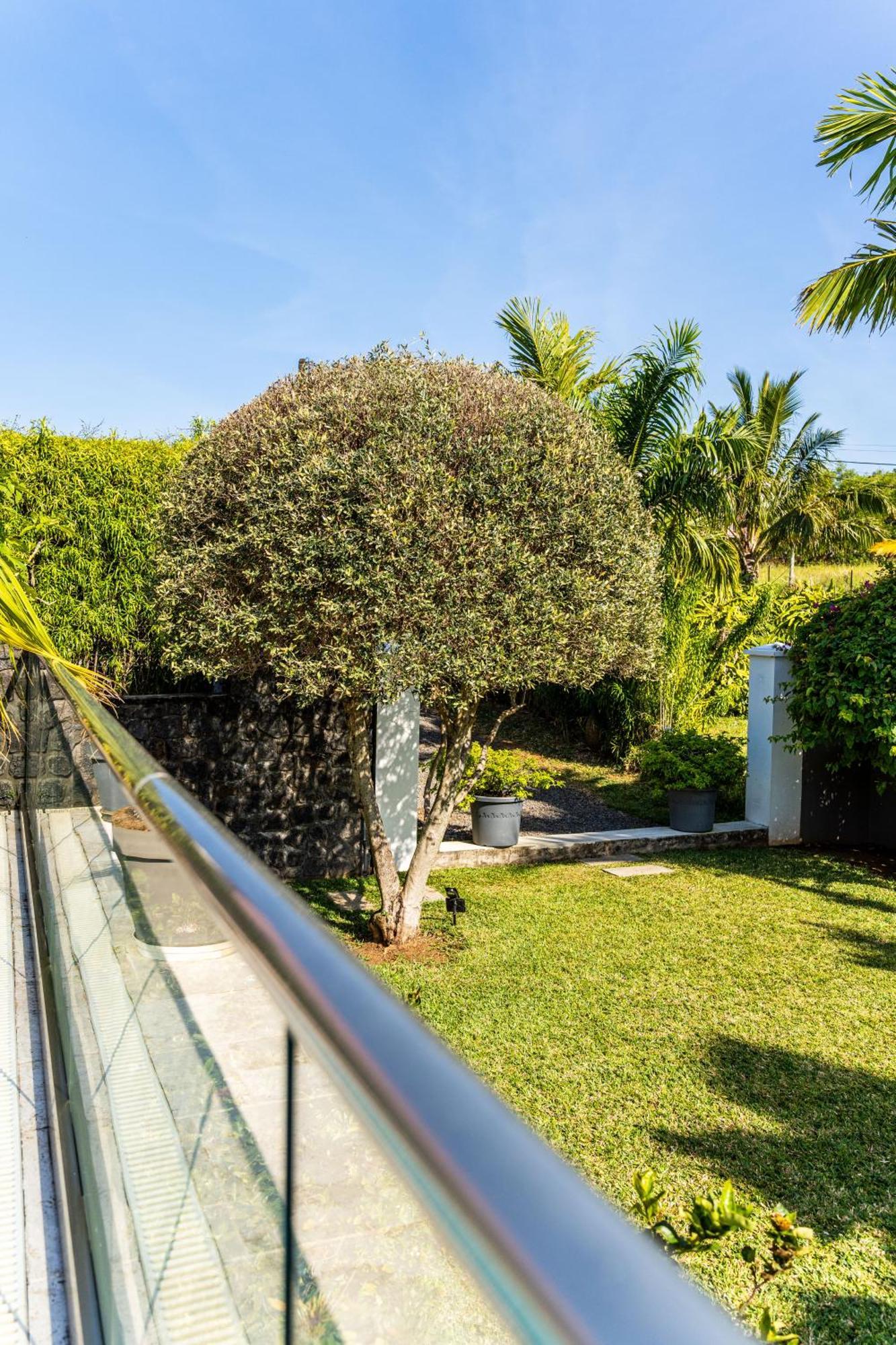 Villa Avec Piscine Vue Mer Et Montagne, En Pleine Nature Сен-Жозеф Екстер'єр фото
