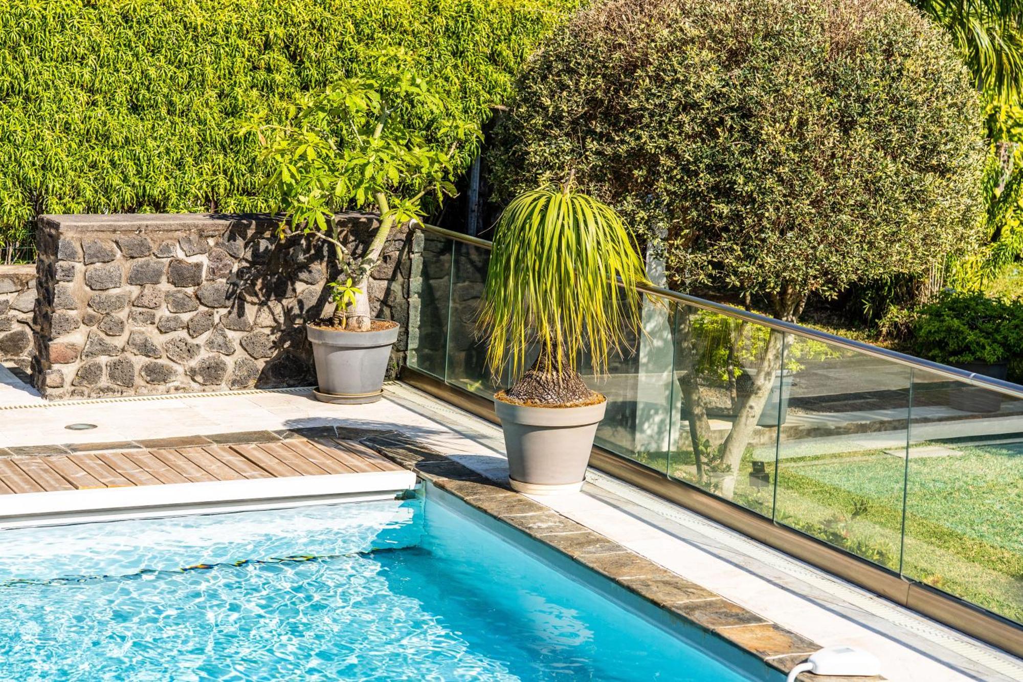 Villa Avec Piscine Vue Mer Et Montagne, En Pleine Nature Сен-Жозеф Екстер'єр фото